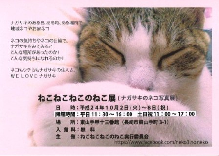 cat_Pink