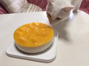 ｹｰｷ